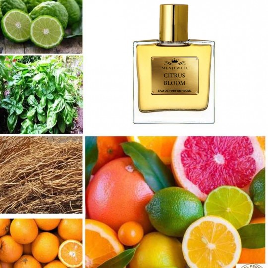 Menjewell CITRUS BLOOM Perfume For Men - 100 ml  (For Men)