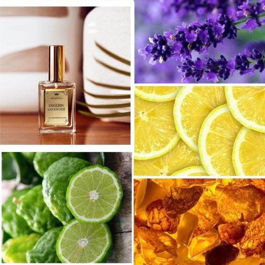 Menjewell English Lavender Perfume|Fresh Floral Scent|Long-Lasting-Lavender-Fragrance Eau de Parfum - 50 ml  (For Women)