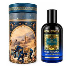 Adventure Blue Perfume 100 ml 